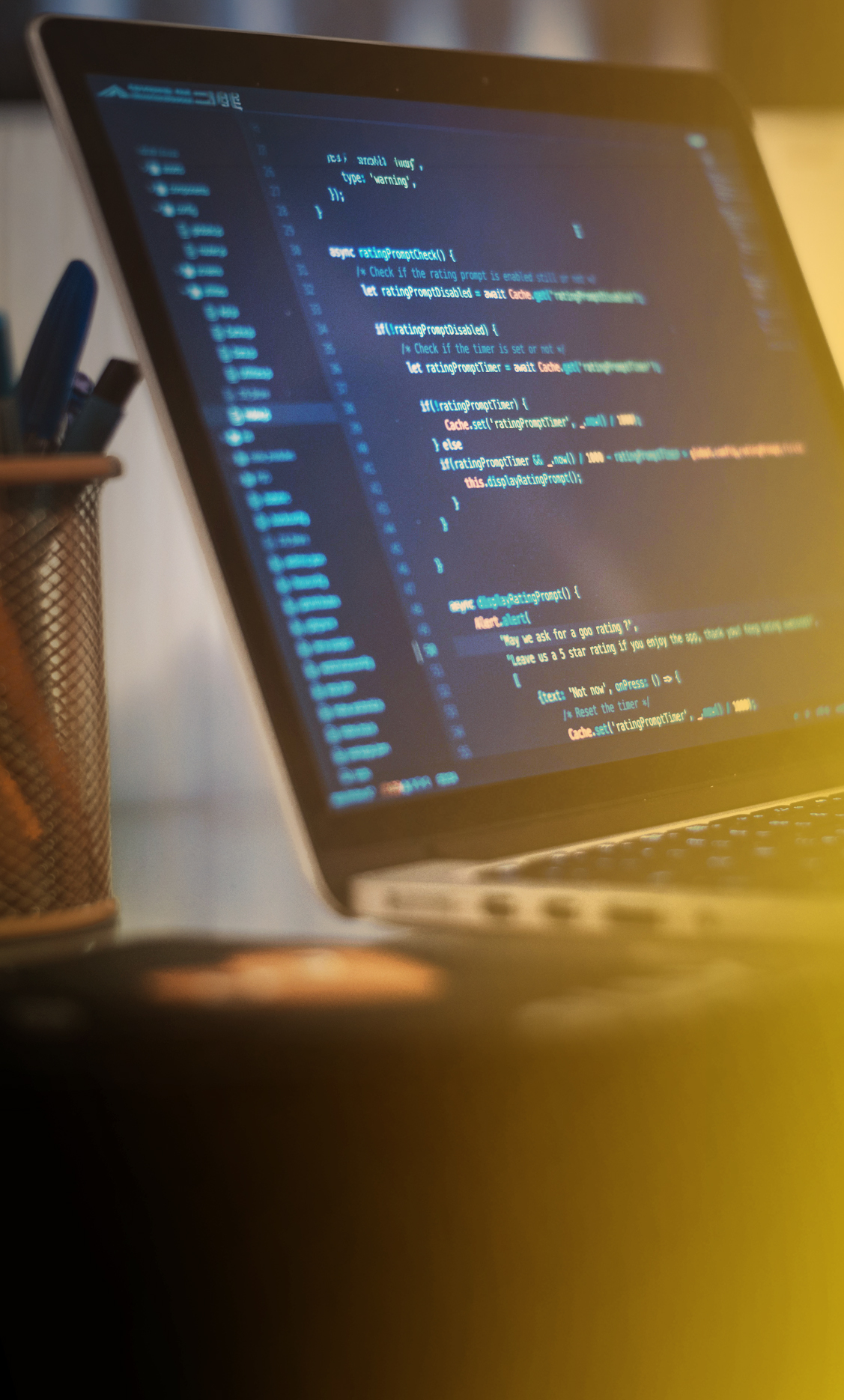 Desenvolvimento de Software